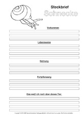 Schnecke-Steckbriefvorlage-sw.pdf